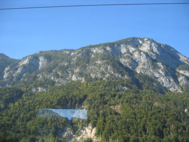 img_1235.jpg