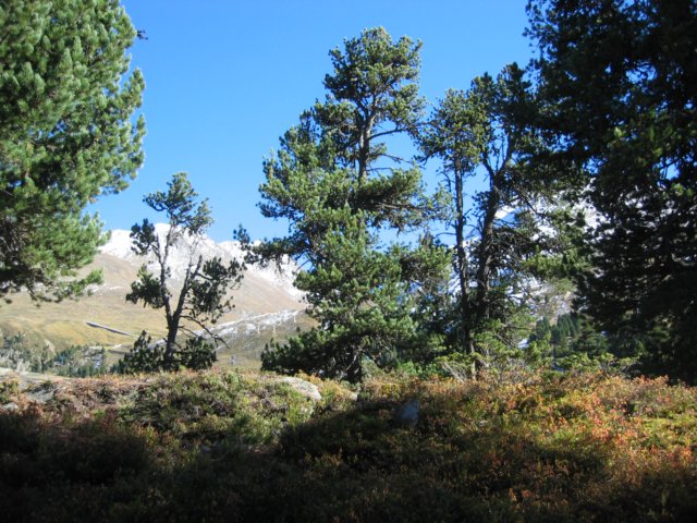 img_1309.jpg