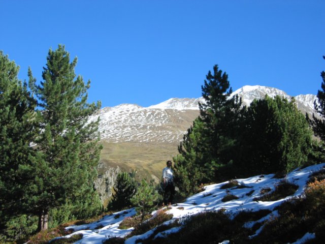 img_1318.jpg