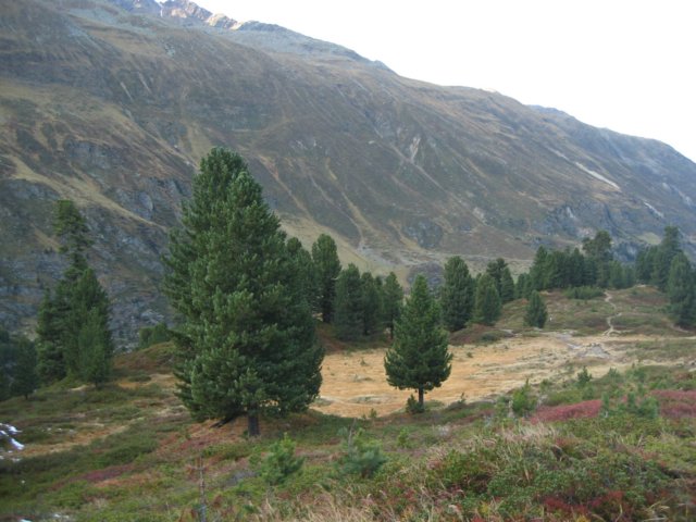 img_1359.jpg