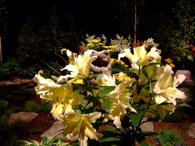 dscf2151.jpg