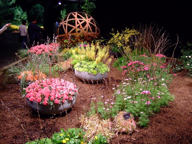 dscf2153.jpg