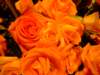dscf2158_small.jpg