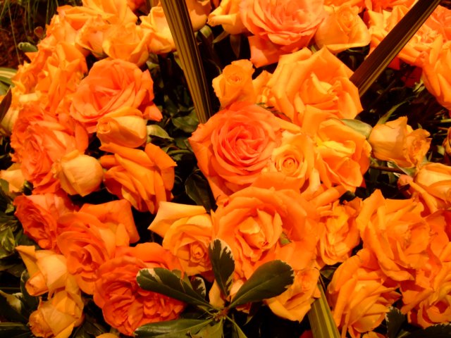 dscf2159.jpg