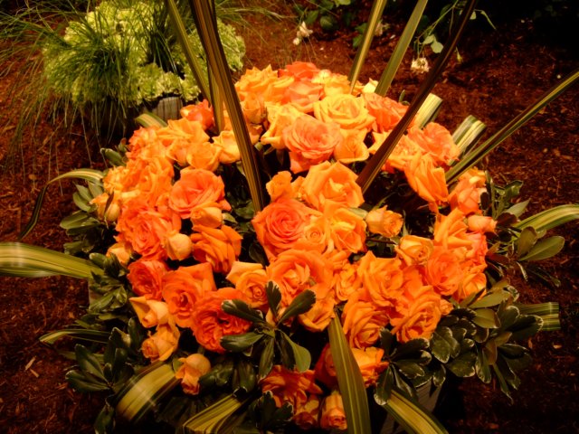 dscf2160.jpg