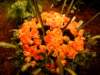 dscf2160_small.jpg