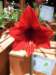 dscf2177_small.jpg
