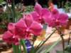 dscf2178_small.jpg