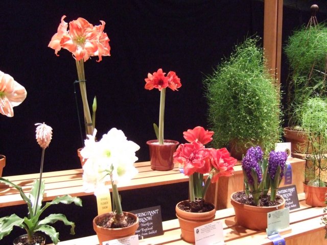 dscf2181.jpg