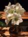 dscf2182_small.jpg