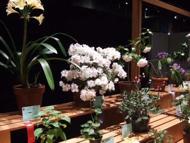 dscf2183.jpg