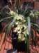 dscf2184_small.jpg