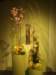 dscf2204_small.jpg
