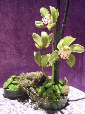dscf2205.jpg