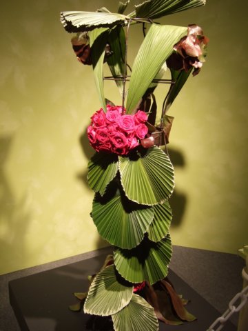 dscf2208.jpg