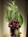 dscf2210_small.jpg