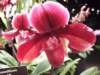 dscf2214_small.jpg