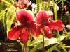 dscf2215_small.jpg