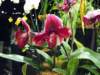 dscf2218_small.jpg