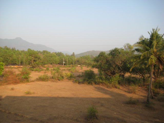 img_1387.jpg