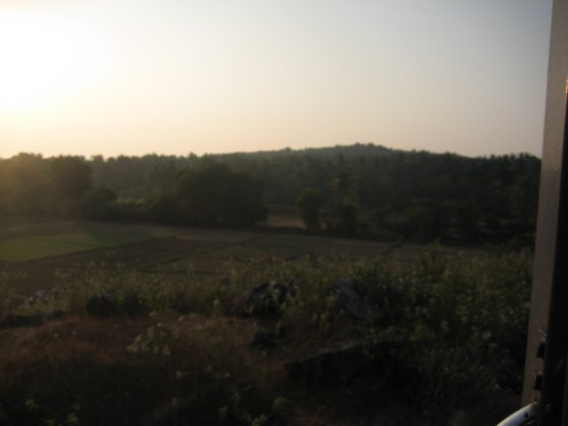 img_1391.jpg