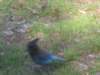 img_2294_small.jpg