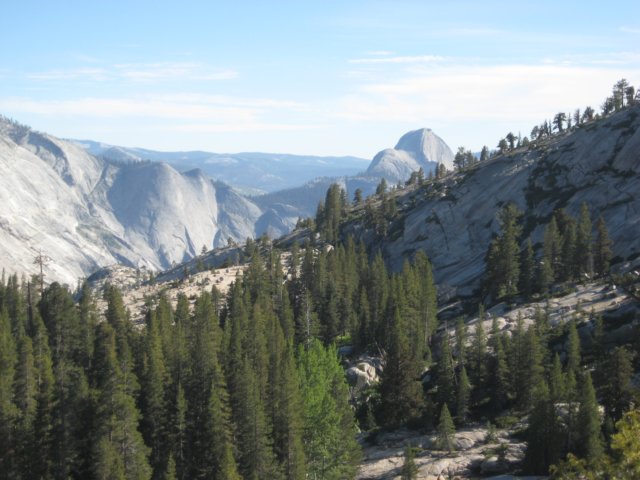 img_2296.jpg