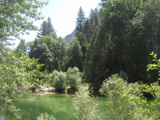 img_2331.jpg