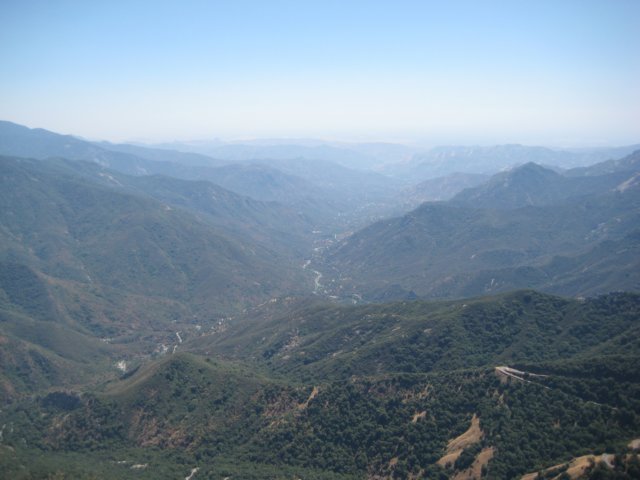 img_2450.jpg