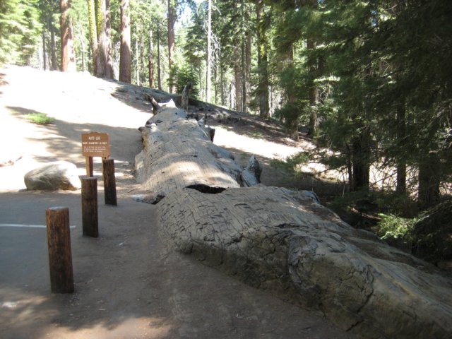 img_2460.jpg