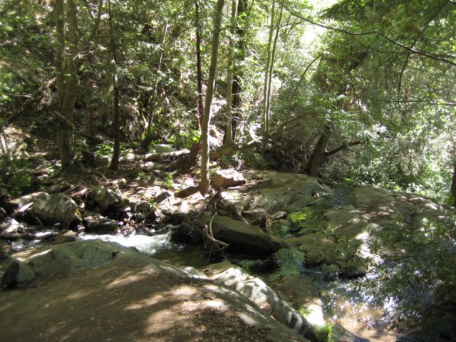 img_2464.jpg