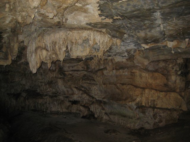 img_2479.jpg