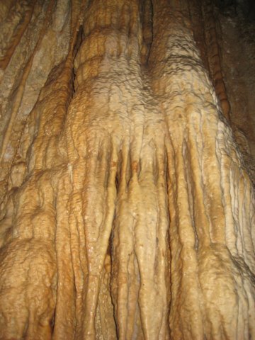 img_2482.jpg