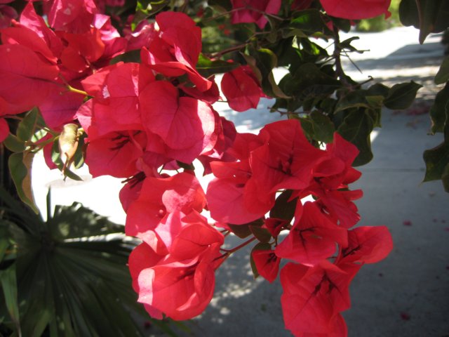 img_2505.jpg