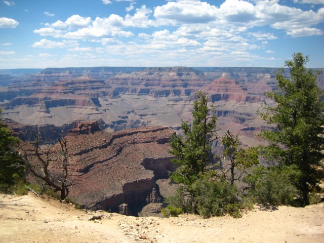 img_2525.jpg