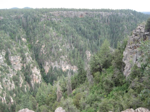 img_2619.jpg