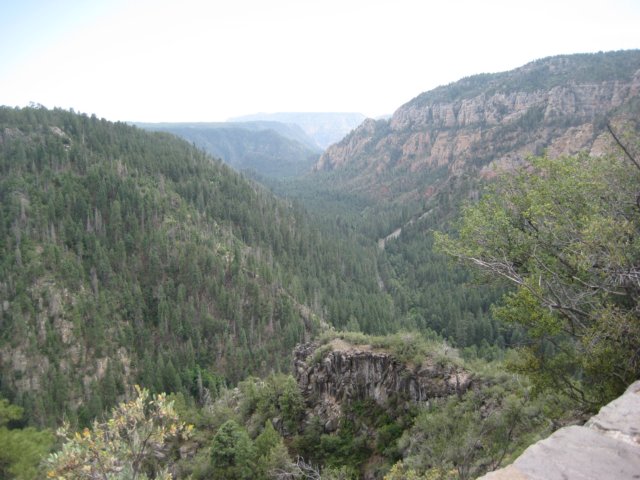img_2620.jpg