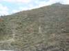 img_2686_small.jpg