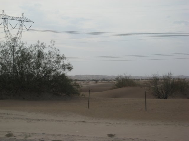 img_2795.jpg
