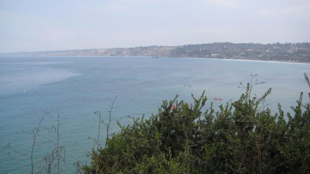 img_2809.jpg