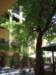 dscf2861_small.jpg