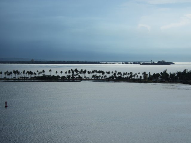 dscf2893.jpg