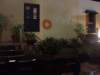 dscf2915_small.jpg