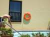 dscf2942_small.jpg