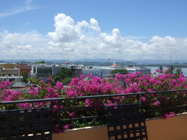 dscf2944.jpg