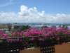 dscf2944_small.jpg