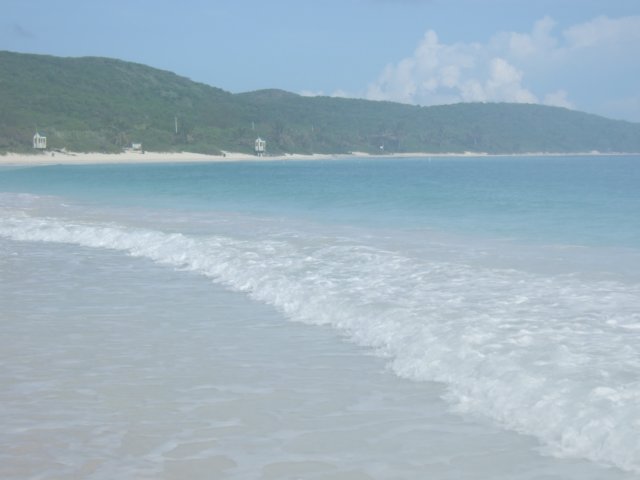 dscf2976.jpg