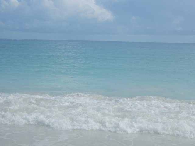 dscf2979.jpg