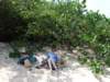 dscf2987_small.jpg