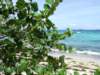 dscf2989_small.jpg